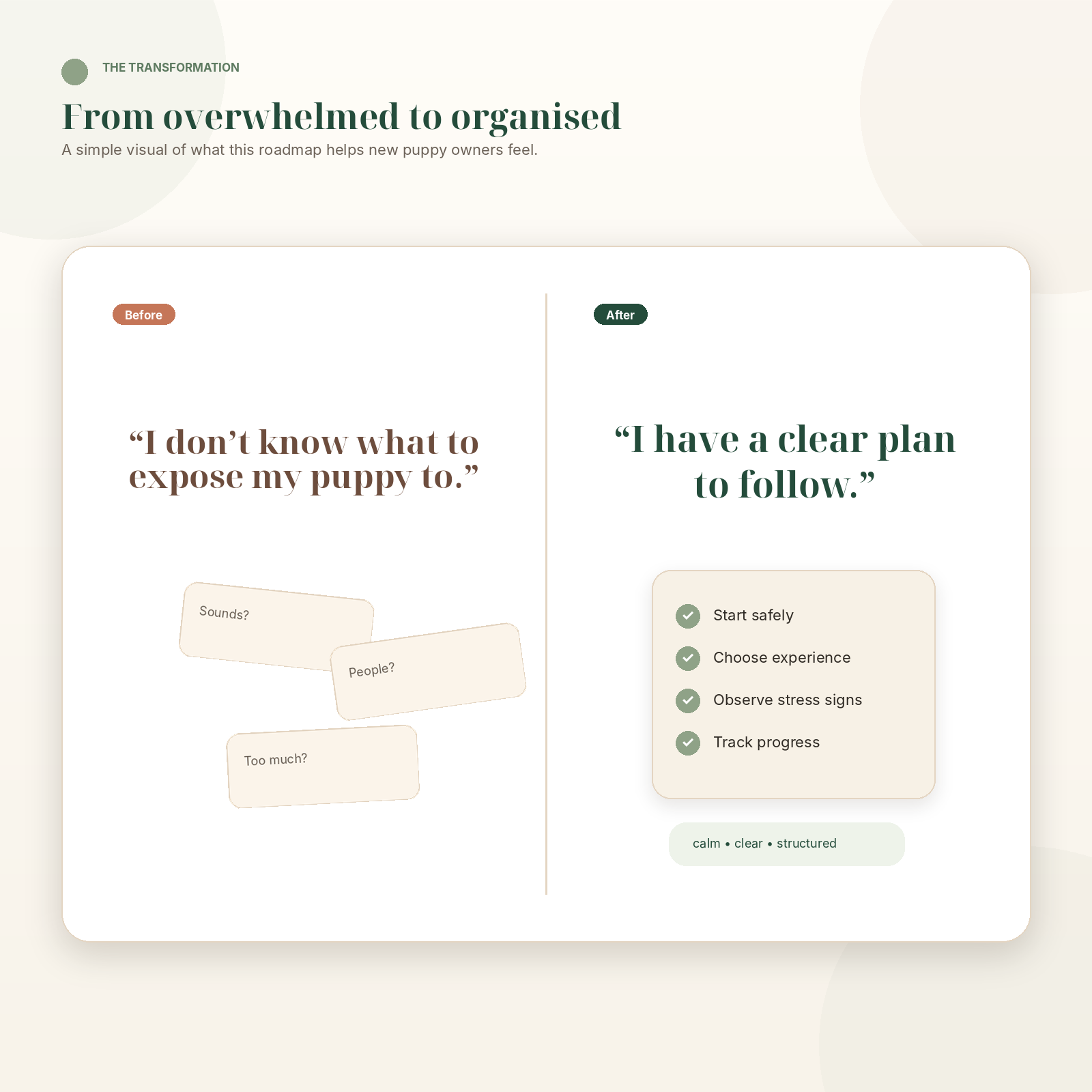 The Complete Puppy Socialization Roadmap: 100 Experiences in 100 Days